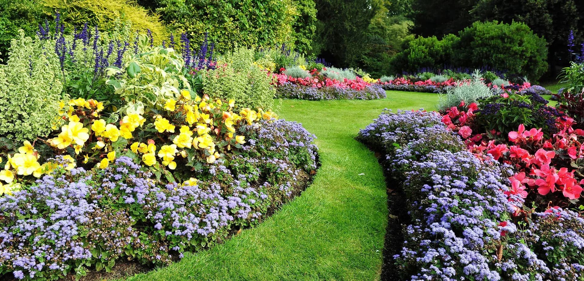 Giardino biodinamico Visione Sostenibile