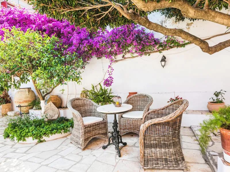 Arredi e outdoor living foto 2