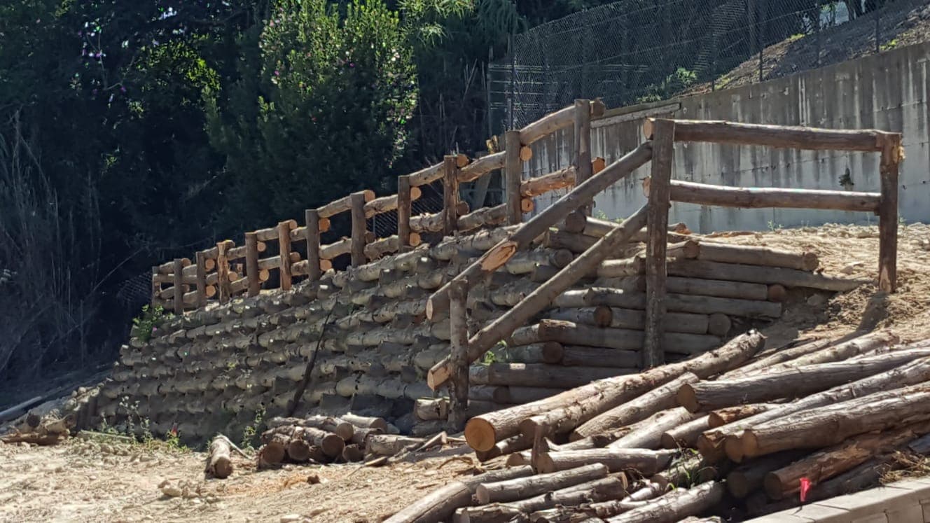 Ingegneria naturalistica foto 2