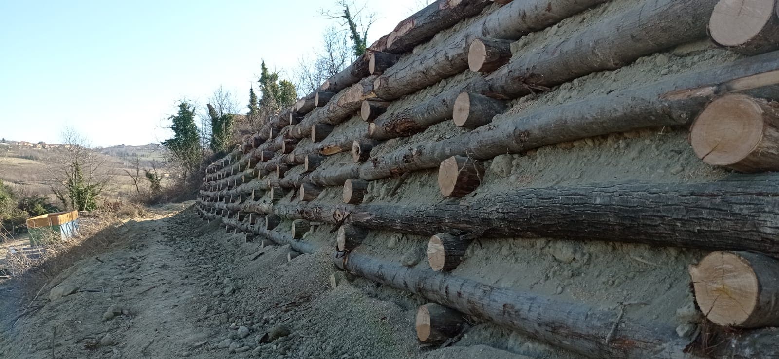 Ingegneria naturalistica foto 8