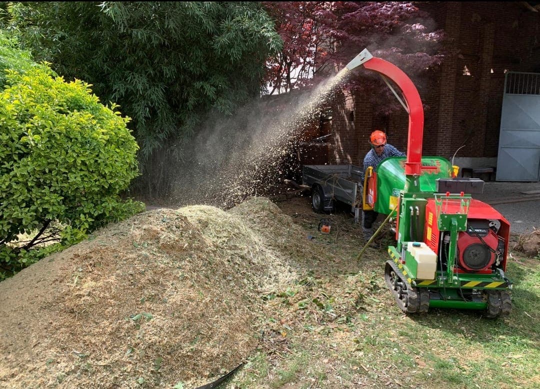 Manutenzione programmata del verde foto 2