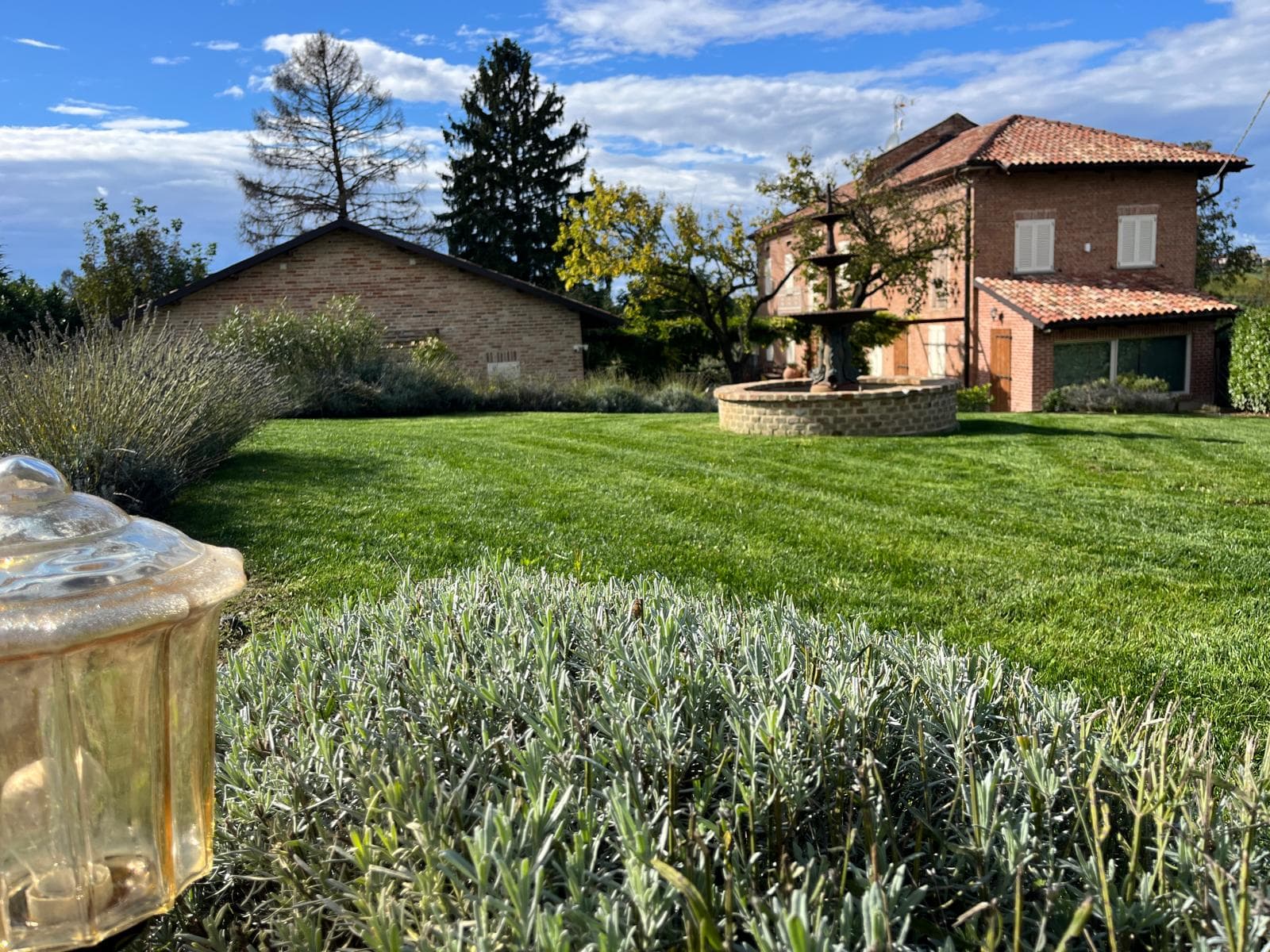 Manutenzione programmata del verde foto 6