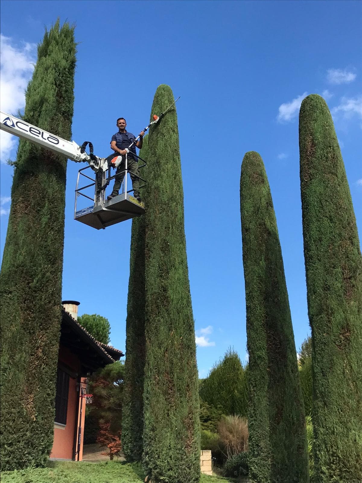 Manutenzione programmata del verde — servizio Visione Sostenibile