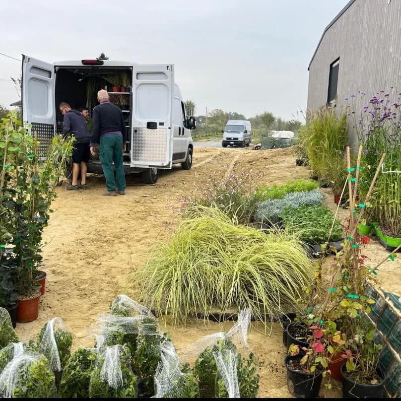 Selezione Piante e Vivaio Interno foto 1