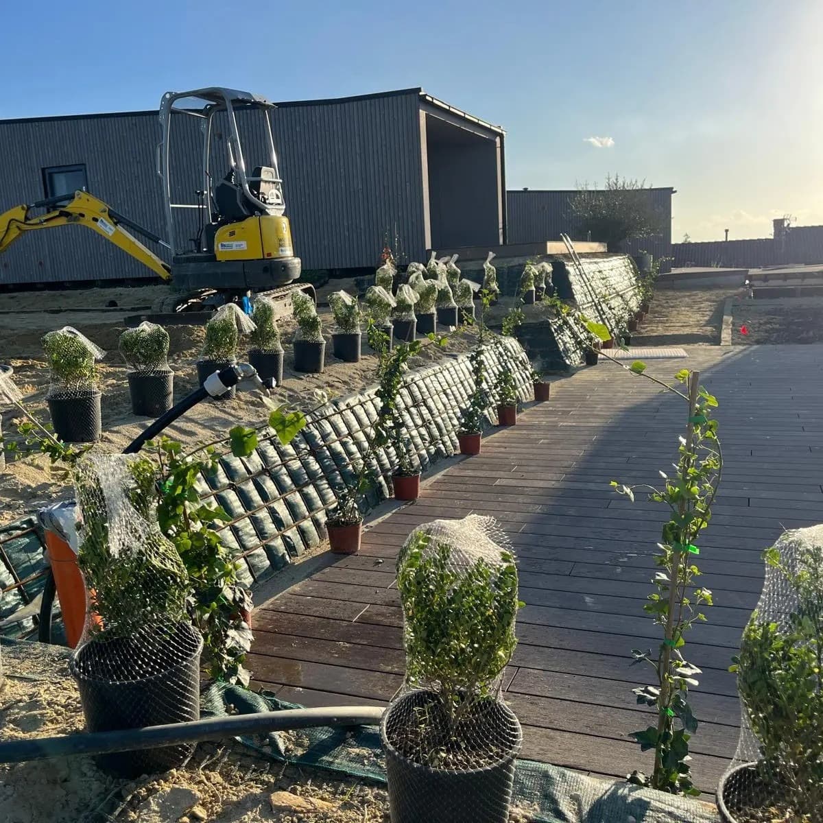 Selezione Piante e Vivaio Interno foto 2