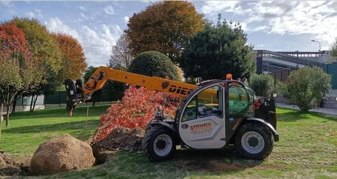 Selezione Piante e Vivaio Interno foto 5