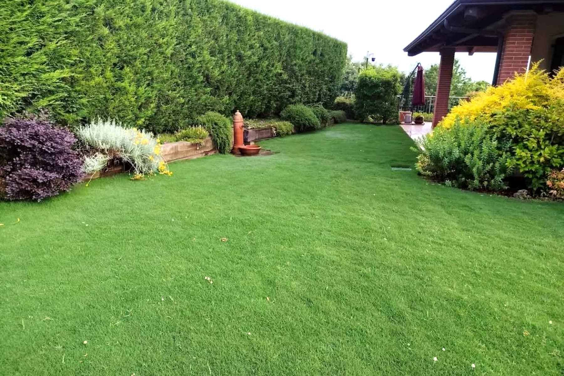 Castagneto Po – Progetto Marta – Visione Sostenibile: aiuola bassa manutenzione 200 mq