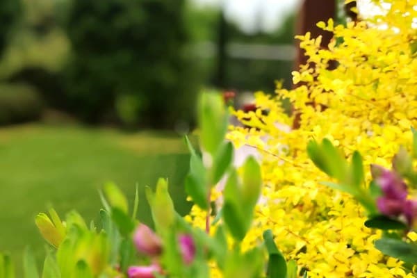 Castagneto Po – Progetto Marta – Visione Sostenibile: robot tagliaerba con sensore visivo