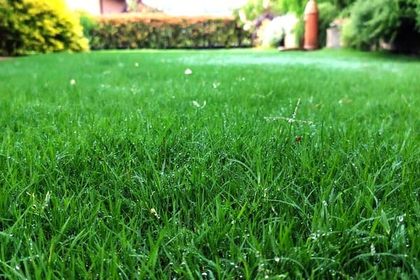 Castagneto Po – Progetto Marta – Visione Sostenibile: dettaglio intervento