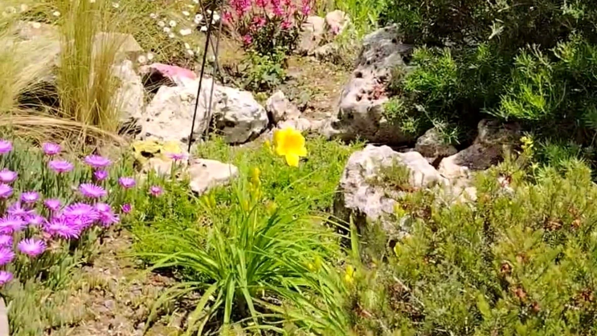 Progetto Castagneto Po – Progetto Marta — vista principale