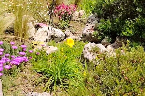 Castagneto Po – Progetto Marta – Visione Sostenibile: vista d'insieme del progetto realizzato