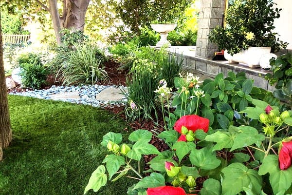 Maria Rosa – Santhià – Visione Sostenibile: lapillo vulcanico di copertura