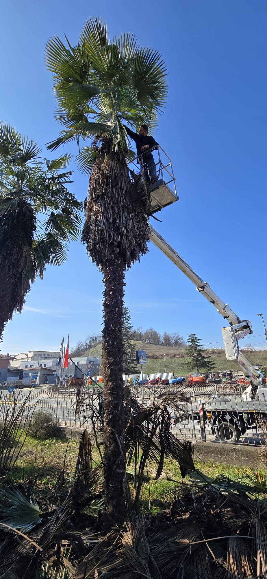 Potature e abbattimenti in quota foto 2