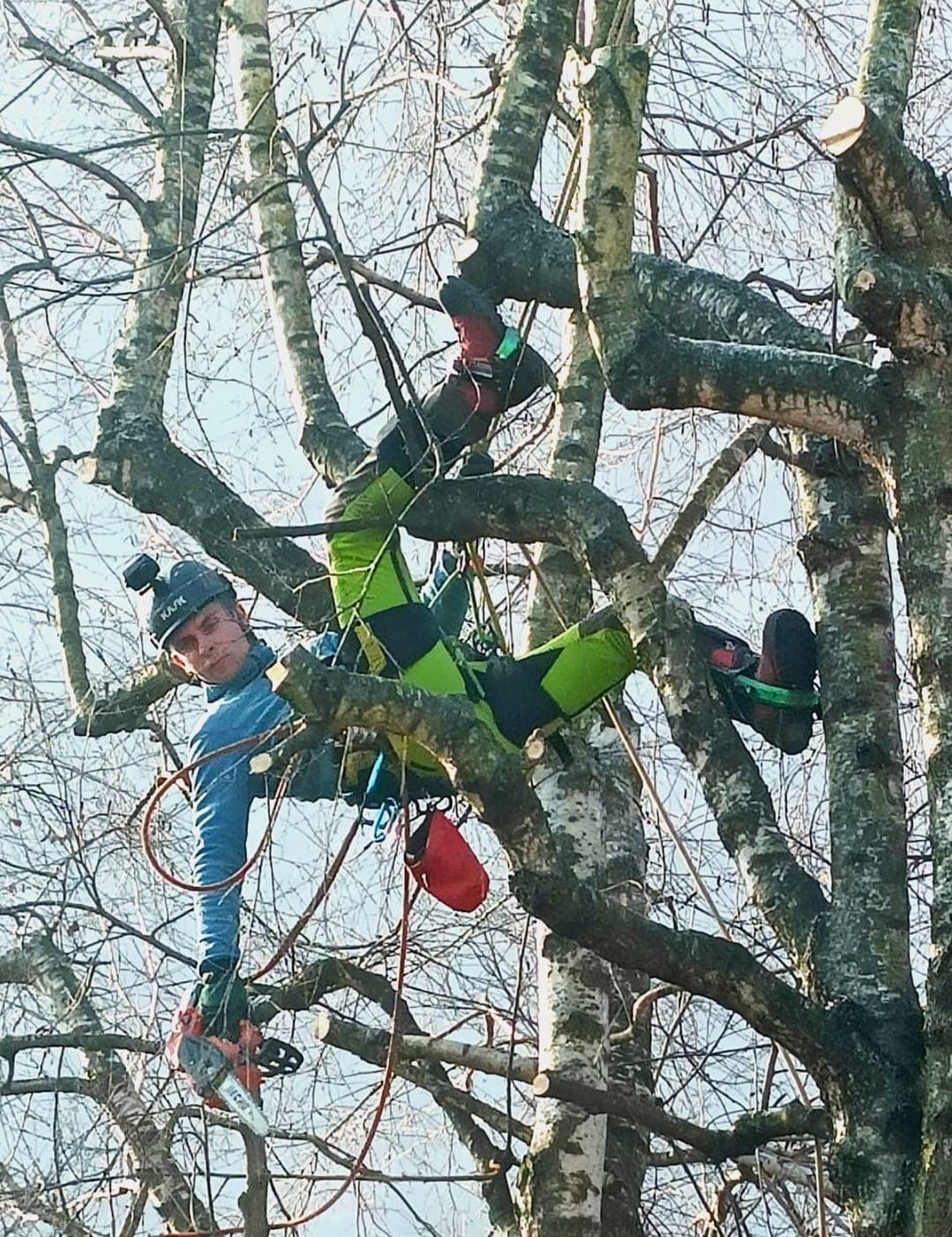 Potature e abbattimenti in quota foto 5