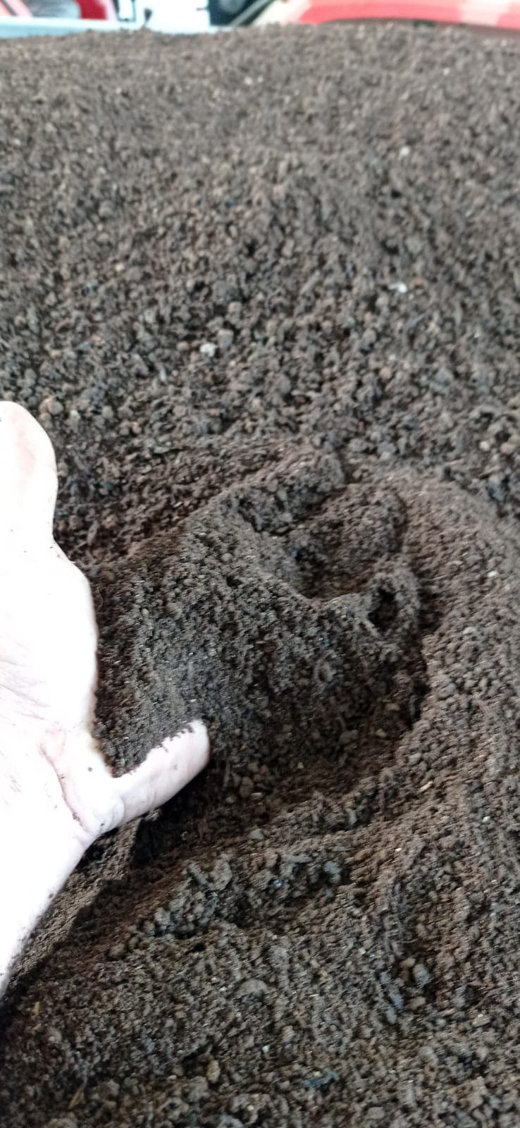 Rigenerazione del suolo foto 1