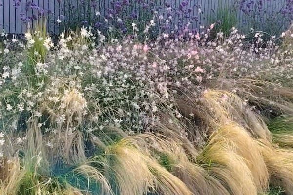 Agriturismo Durando – Portacomaro – Visione Sostenibile: impianto anti-zanzare perimetrale