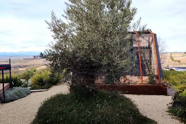 Agriturismo Durando – Portacomaro – Visione Sostenibile: 3.000 cultivar messe a dimora