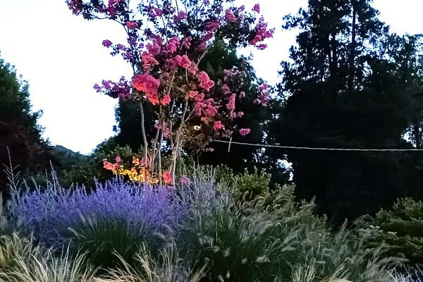 Porto Val Travaglia – Visione Sostenibile: illuminazione solare professionale