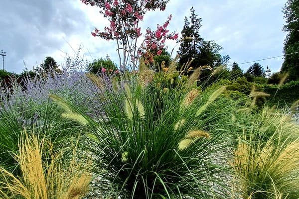 Porto Val Travaglia – Visione Sostenibile: dettaglio 9 di 14