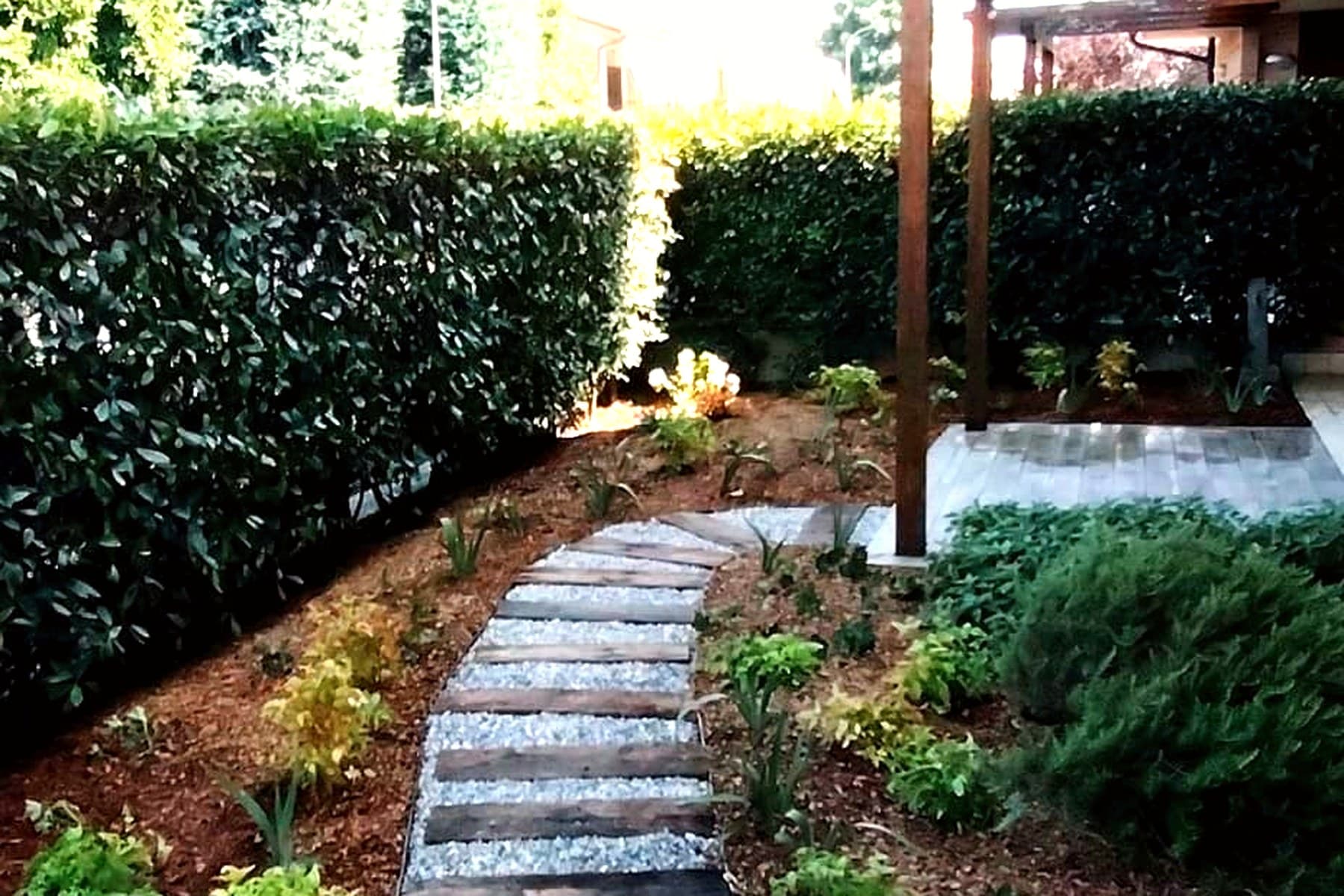 Veronica – Rifacimento Giardino – Visione Sostenibile: prato di trifoglio a crescita bassa