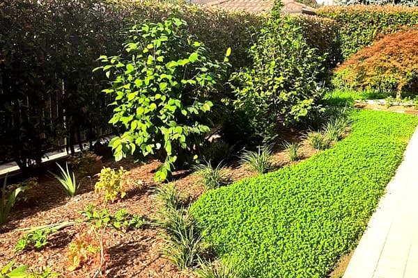 Veronica – Rifacimento Giardino – Visione Sostenibile: camminamenti in traversine certificate